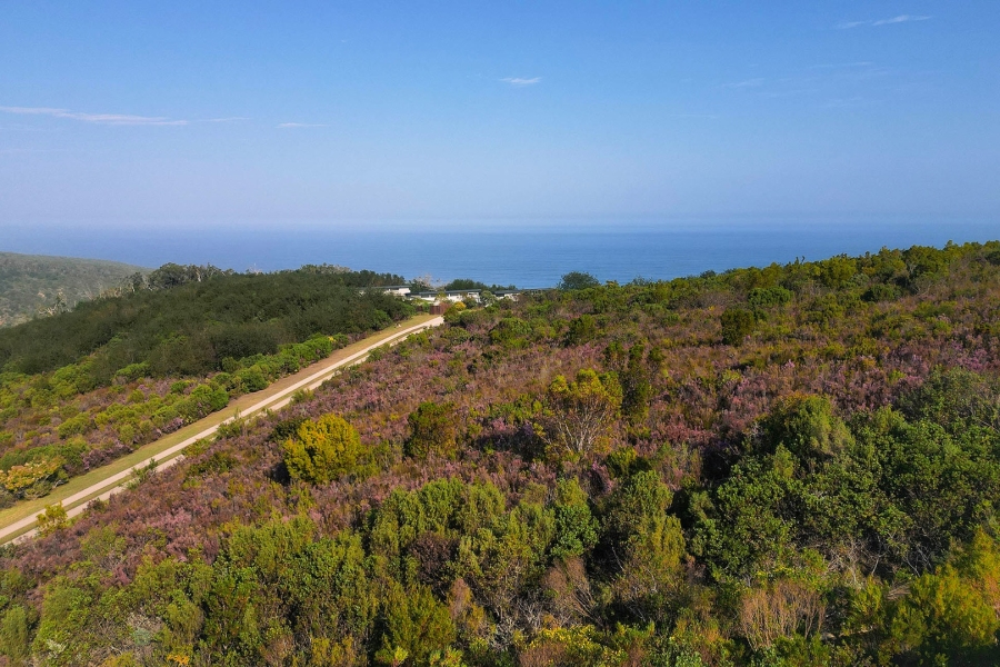 Commercial Property for Sale in Pezula Private Estate Western Cape